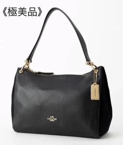 【極美品】コーチ COACH ハンドバッグ ショルダーバッグ スエード レザー