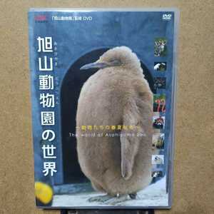 旭山動物園の世界 動物たちの春夏秋冬 特典映像挿入歌「いのちのうた」島みやえい子(I've sound 島宮えい子)収録 DVD 北海道 旭川市