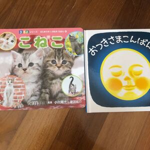 こねこ お月まさこんばんは