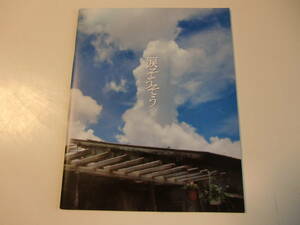 映画パンフレット　　涙そうそう　長澤まさみ　妻夫木聡