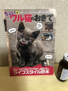 YK-3266( включение в покупку возможно ) слегка waru кошка. ...M.B.MOOK {...}( АО ) журнал box 
