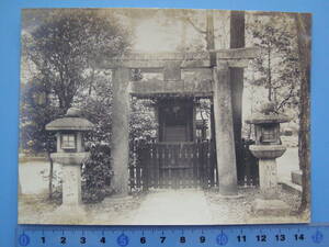 (A35) 写真 古写真 戦前 京都 北野神社 参道の中程西側 伴氏社 北野天満宮