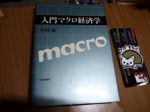 入門マクロ経済学 中谷巌