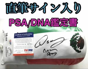 オスカー・デ・ラ・ホーヤ 直筆サイン入り グローブ PSA/DNA 鑑定書有り 検)井上尚弥 村田諒太 タイソン パッキャオ メイウェザー 金メダル