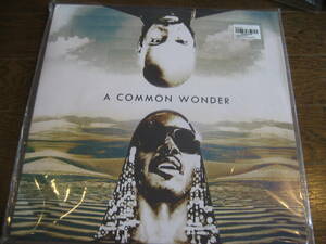 新品LP２枚組 COMMON WONDER COMMON VS STEVIE WONDER　muro dev large kiyo missie celory kenta DJ MASTERKEY　ジャケット折れあり