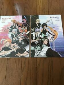 BLEACH 下敷き 日番谷冬獅郎 松本乱菊 夜一 阿散井恋次 市丸ギン 砕蜂 ブリーチ 2枚セット