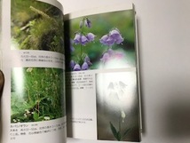 中古　白馬岳・八方尾根　花の旅 / 石原　敏行_画像3