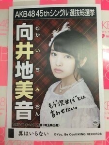 AKB48 翼はいらない 向井地美音 劇場盤 写真