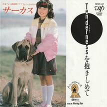 ７”EP★サーカス★Tendernessを抱きしめて／Morning Rain（松本隆　木森敏之）84年日本テレビ系ドラマ「パパになりたかった犬」主題歌_画像1