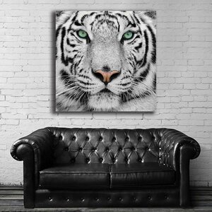 虎 タイガー 特大 ポスター 約100x100cm トラ とら 動物 自然 Tiger 海外 インテリア グッズ 絵 雑貨 写真 フォト アート 大判 大 1