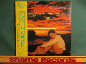 Albert Hammond ： Greatest Hits LP // It Never Rains In Southern California カリフォルニアの青い空 / 落札5点で送料無料