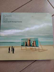 A short cut to TEENAGE FANCLUB ティーンエイジファンクラブ CD 送料無料