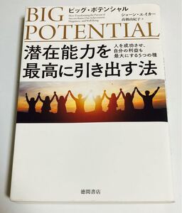 潜在能力を最高に引き出す法 ビッグ・ポテンシャル 送料無料