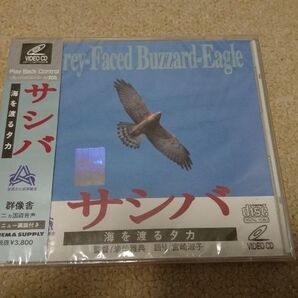 VCD サシバ 海を渡るタカ 差羽 刺羽 新品