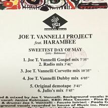 【house】Joe T. Vannelli Project Feat. Harembee / Sweetest Day Of May［CDs］イタリアdiscomagic《1f001 9595》_画像4