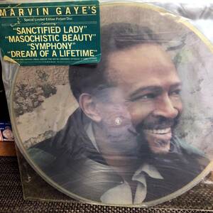  Marvin Gaye's Special Limited Edition Picture Disc
