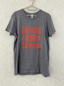 路地裏スープカリィ侍. Tシャツ M Rojiura Curry Samurai. 北海道 札幌 吉祥寺 下北沢 神楽坂 八王子 仙台 福岡 大阪 スープカレー