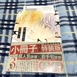 BL 漫画 コミック 25時、赤坂で 3 特装版 特典 夏野寛子