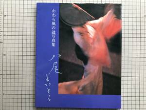 [... способ. поддон фотоальбом . хвост хороший ..]. осень .* высота ..* Nakanishi Rei * Izumi . др. север Япония газета фирма 1994 год .* Toyama *. средний * японская бумага * доска .*06511