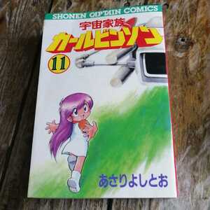 ヤフオク カールビンソン 少年 の中古品 新品 古本一覧