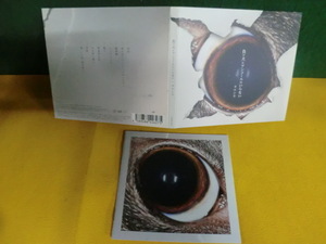 ヤフオク 負け犬 Cd の中古品 新品 未使用品一覧 ヤフオク 負け犬 Cd の中古品 新品 未使用品一覧