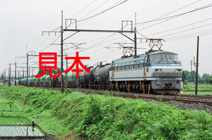 鉄道写真、35ミリネガデータ、125813630013、EF66-110＋貨物、JR東北本線、東大宮～蓮田、2001.05.24、（2993×1984）