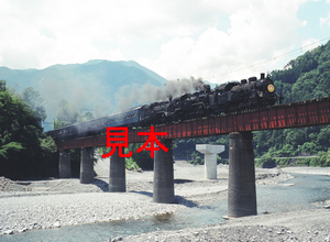 鉄道写真645ネガデータ、127027410004、蒸汽機関車25周年記念号（C10-8煙なし＋C11-227＋C12-164＋客車）、大井川鐵道、青部～崎平