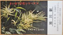 「さいはての花シリーズ④ 記念入場券」(旭川駅,5枚組)　1979,旭川鉄道管理局_画像5