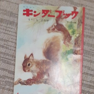 観察絵本キンダーブック