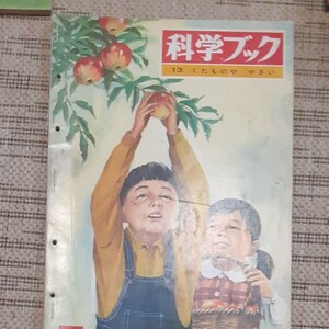 観察絵本キンダーブック