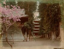 大判手彩色古写真　東京 池上本門寺の春・鼓楼と五重塔　明治期_画像1