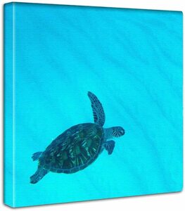  new goods art panel lure to poster better fortune turtle tortoise turtle canvas .. present-day art ornament interior picture 30x30cm