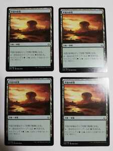 MTG マジックザギャザリング 不屈の砂漠 日本語版 4枚セット