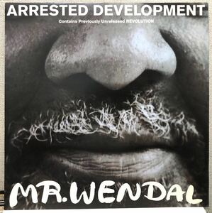 レア 1992 Arrested Development / Mr. Wendal アレステッド デベロップメント Original UK 12 Cooltempo 12cool268 Revolution収録