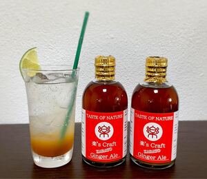 KARATO Ginger Ale 自家製 クラフト ジンジャーエール シロップ 2本 手作り ジンジャーハイ モスコミュール
