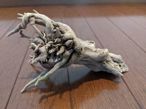 ☆天然流木 水槽 1点物 アクアリウム オブジェ アート 17×10×6cm 大和川河口 爬虫類 インテリア 根 魚 隠れ家