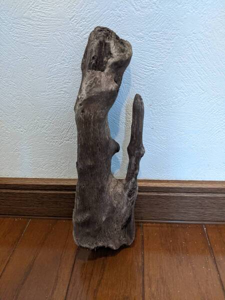 ☆天然流木 水槽 1点物 アクアリウム オブジェ アート 23×6×7cm 大和川河口 爬虫類 インテリア