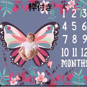 赤ちゃん寝相レターシーツ アートシーツ P蝶々&花 おまけ付き