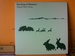 ハウス Fantastic Plastic Machine / The King Of Pleasure 12インチです。