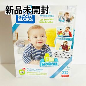 【新品】フィッシャープライス　MEGA BLOKS 記念撮影