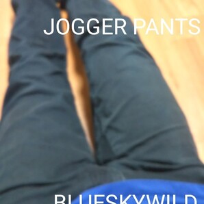 ELEMENTエンハンスエレメント ネイビー ジョガーパンツ スケータースタイル