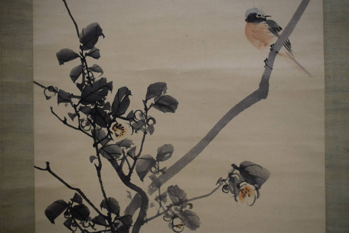 [真品]//松村惠文/山茶花与小鸟/布袋屋挂轴 HI-349, 绘画, 日本画, 花鸟, 野生动物