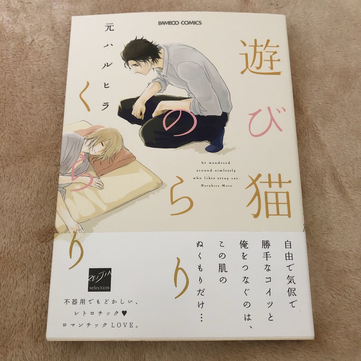 【同時購入でお値引】遊び猫のらりくらり 