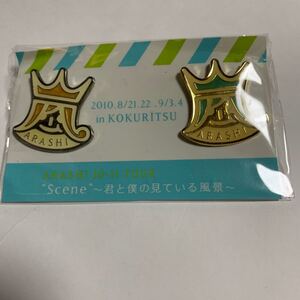 嵐 新品未開封 君と僕の見ている風景 会場限定 ピンバッジ