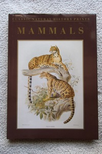 Classic Natural History Prints MAMMALS (Studio Editions) 大型本