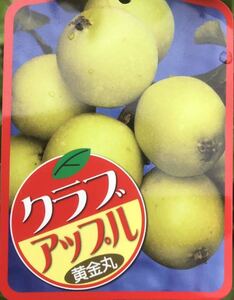 ゴールデンアップルの値段と価格推移は 44件の売買情報を集計したゴールデンアップルの価格や価値の推移データを公開 ゴールデンアップルの値段と価格推移は 44件の売買情報を集計したゴールデンアップルの価格や価値の推移データを公開