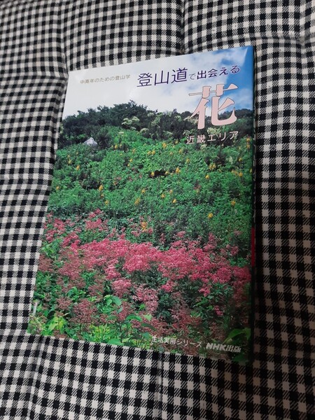 登山道で出会える花 近畿エリア