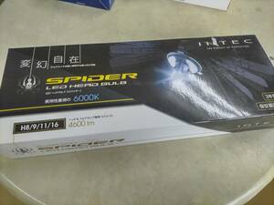 NHLB-H8 INTEC LEDヘッドバルブ スパイダー 6000K NHLB-H8★新品！