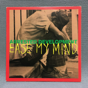 Arrested Development - Ease My Mind / Shell 【US ORIGINAL 12inch】 Speech / Chrysalis - Y-58157