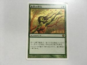 A38【MTG マジック・ザ・ギャザリング】自然の類似 即決